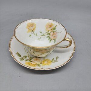 Antique HAVILAND & Co LIMOGES FRANCE Tea Cup Saucer Yellow Gold Floral Burley Co